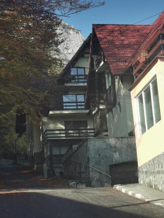Apartament Kalinderu K2 Busteni Buşteni Exterior foto