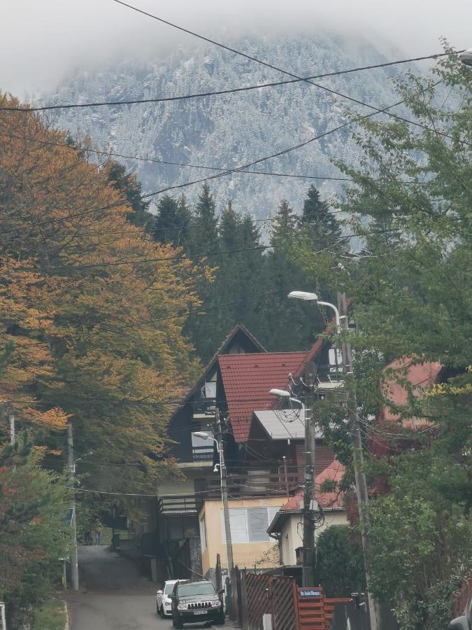Apartament Kalinderu K2 Busteni Buşteni Exterior foto