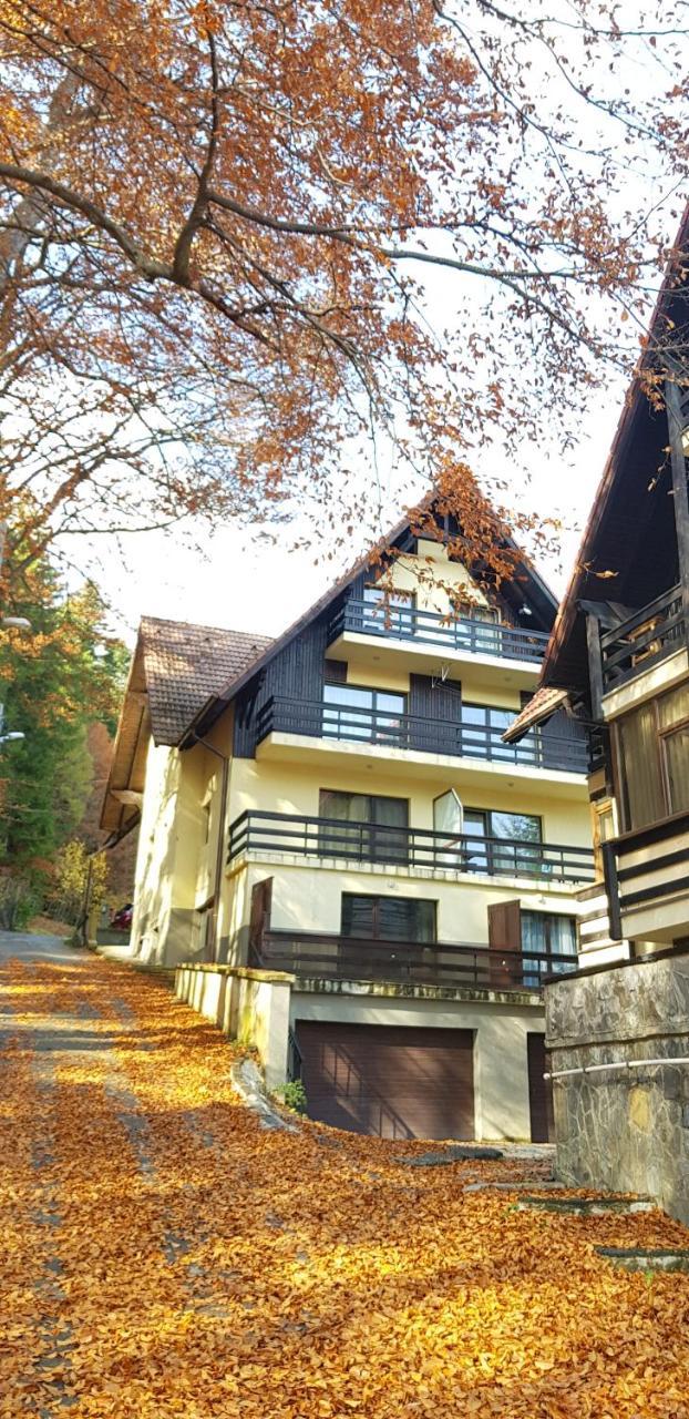 Apartament Kalinderu K2 Busteni Buşteni Exterior foto